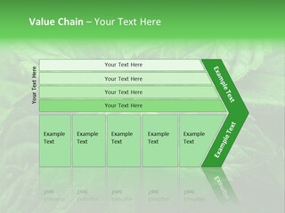 A Close Up Of A Green Leaf Powerpoint Template PowerPoint Template