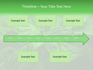 A Close Up Of A Green Leaf Powerpoint Template PowerPoint Template