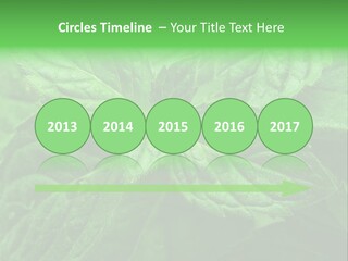 A Close Up Of A Green Leaf Powerpoint Template PowerPoint Template