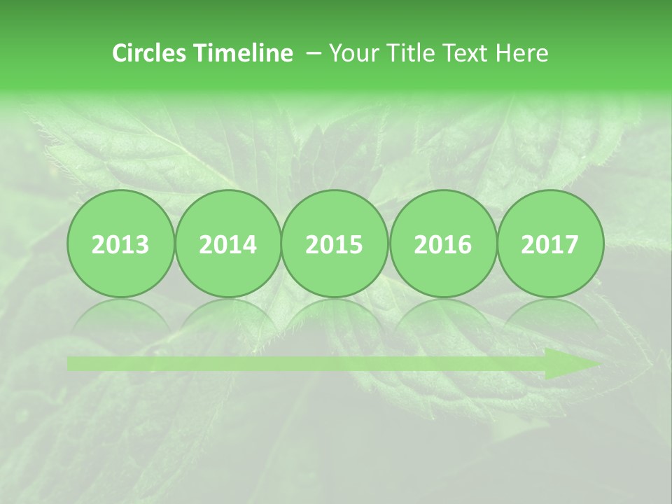 A Close Up Of A Green Leaf Powerpoint Template PowerPoint Template