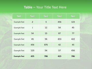 A Close Up Of A Green Leaf Powerpoint Template PowerPoint Template