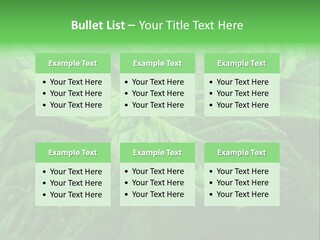 A Close Up Of A Green Leaf Powerpoint Template PowerPoint Template