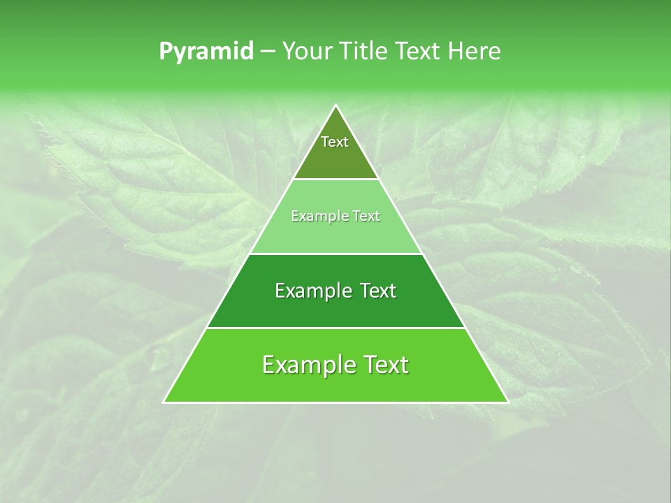 A Close Up Of A Green Leaf Powerpoint Template PowerPoint Template