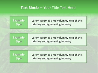 A Close Up Of A Green Leaf Powerpoint Template PowerPoint Template