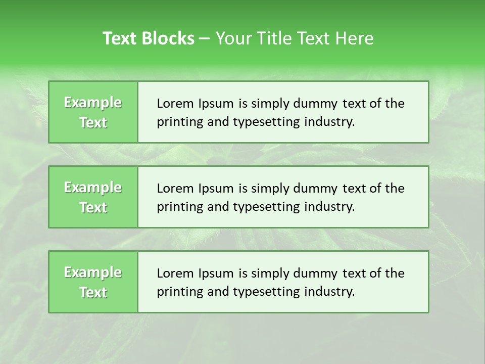 A Close Up Of A Green Leaf Powerpoint Template PowerPoint Template