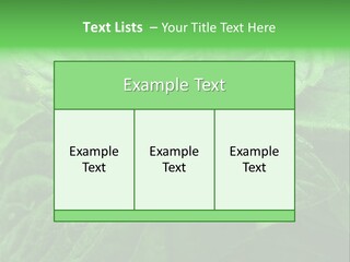 A Close Up Of A Green Leaf Powerpoint Template PowerPoint Template