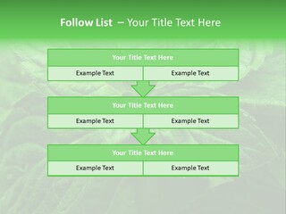 A Close Up Of A Green Leaf Powerpoint Template PowerPoint Template