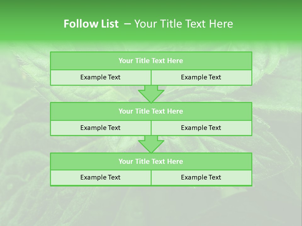 A Close Up Of A Green Leaf Powerpoint Template PowerPoint Template