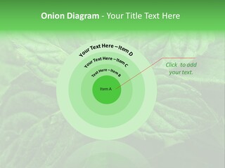 A Close Up Of A Green Leaf Powerpoint Template PowerPoint Template