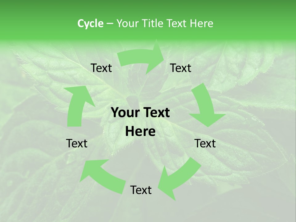A Close Up Of A Green Leaf Powerpoint Template PowerPoint Template