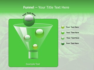 A Close Up Of A Green Leaf Powerpoint Template PowerPoint Template