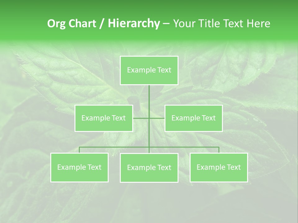 A Close Up Of A Green Leaf Powerpoint Template PowerPoint Template