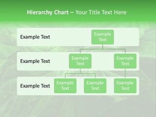 A Close Up Of A Green Leaf Powerpoint Template PowerPoint Template