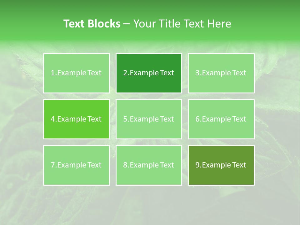 A Close Up Of A Green Leaf Powerpoint Template PowerPoint Template