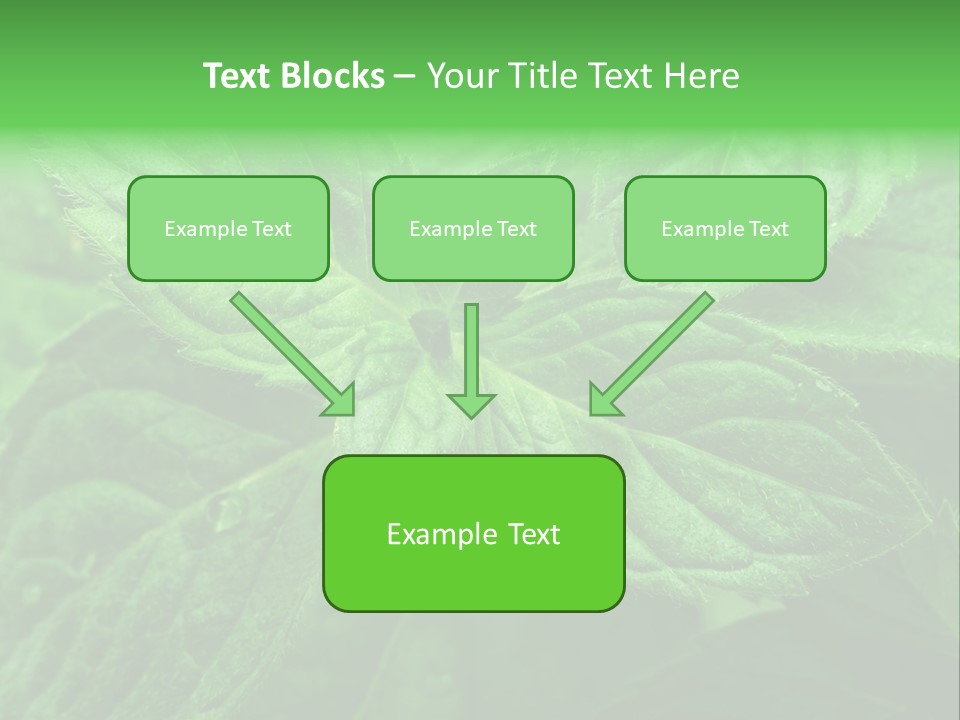 A Close Up Of A Green Leaf Powerpoint Template PowerPoint Template