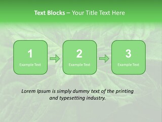 A Close Up Of A Green Leaf Powerpoint Template PowerPoint Template