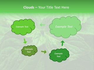 A Close Up Of A Green Leaf Powerpoint Template PowerPoint Template