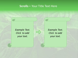 A Close Up Of A Green Leaf Powerpoint Template PowerPoint Template