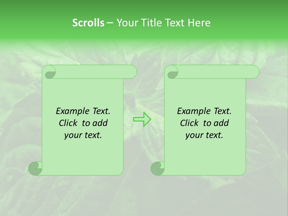 A Close Up Of A Green Leaf Powerpoint Template PowerPoint Template