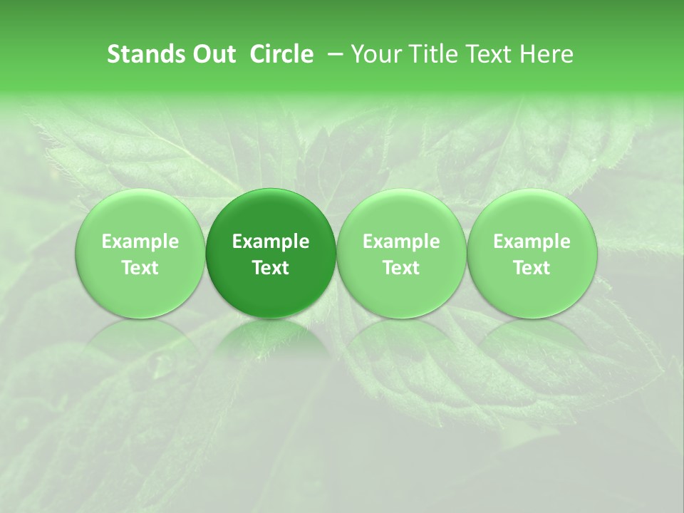 A Close Up Of A Green Leaf Powerpoint Template PowerPoint Template