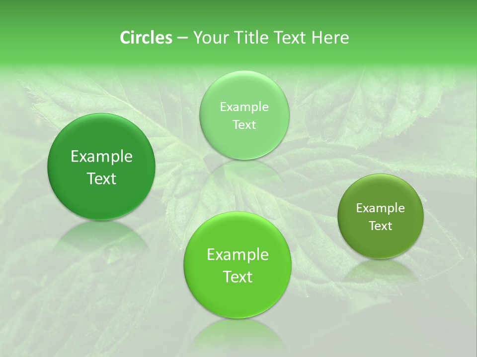 A Close Up Of A Green Leaf Powerpoint Template PowerPoint Template