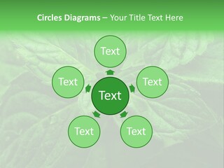 A Close Up Of A Green Leaf Powerpoint Template PowerPoint Template