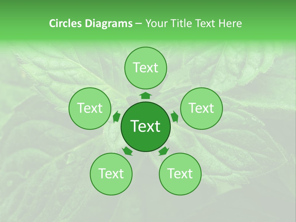 A Close Up Of A Green Leaf Powerpoint Template PowerPoint Template