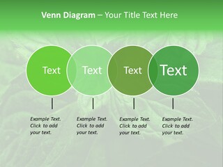A Close Up Of A Green Leaf Powerpoint Template PowerPoint Template