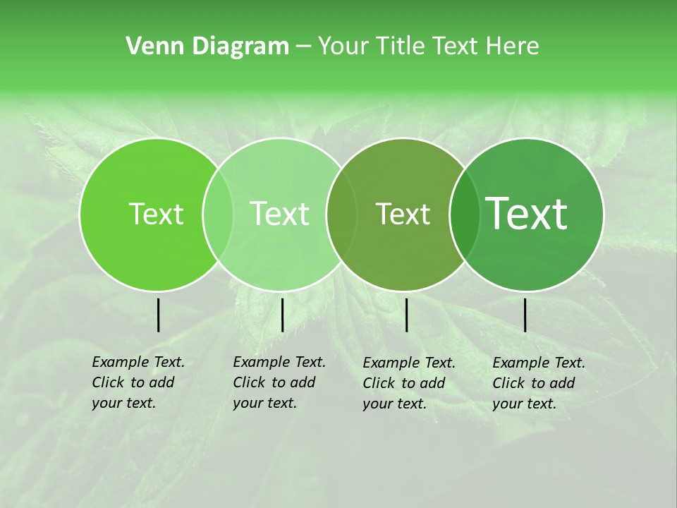 A Close Up Of A Green Leaf Powerpoint Template PowerPoint Template