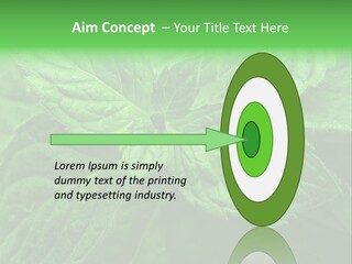 A Close Up Of A Green Leaf Powerpoint Template PowerPoint Template