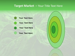 A Close Up Of A Green Leaf Powerpoint Template PowerPoint Template