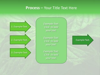A Close Up Of A Green Leaf Powerpoint Template PowerPoint Template