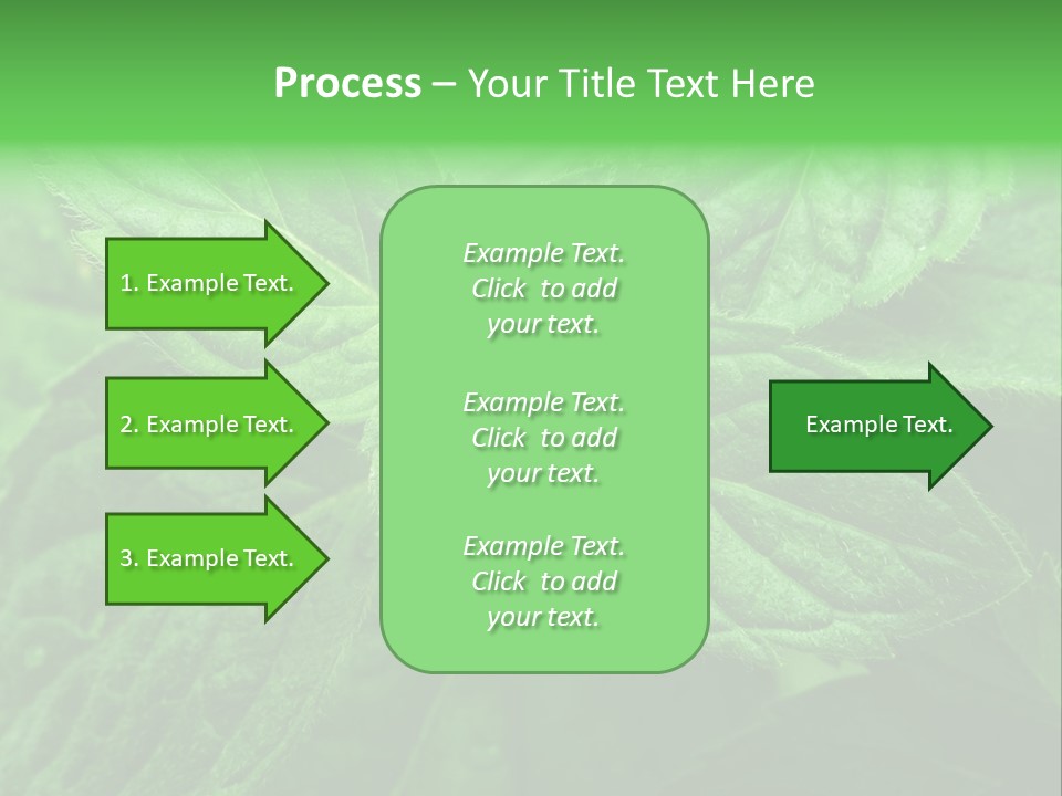A Close Up Of A Green Leaf Powerpoint Template PowerPoint Template