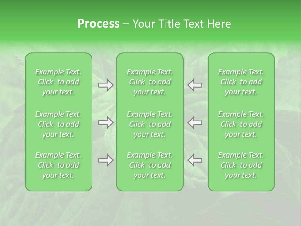 A Close Up Of A Green Leaf Powerpoint Template PowerPoint Template