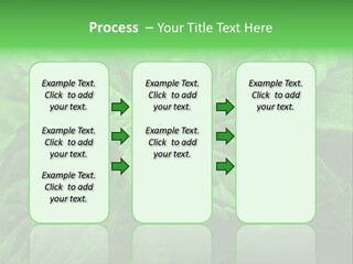 A Close Up Of A Green Leaf Powerpoint Template PowerPoint Template