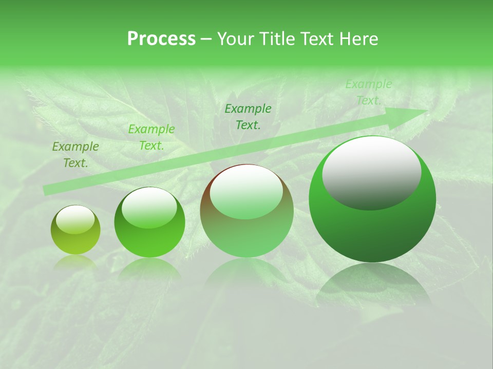 A Close Up Of A Green Leaf Powerpoint Template PowerPoint Template