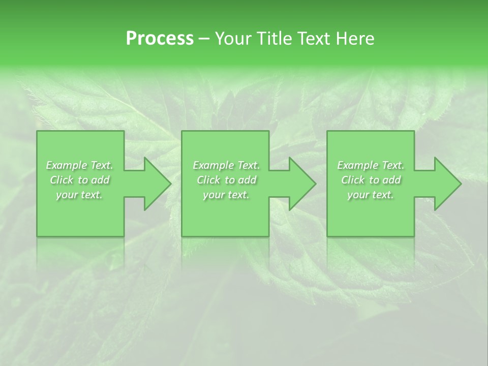 A Close Up Of A Green Leaf Powerpoint Template PowerPoint Template