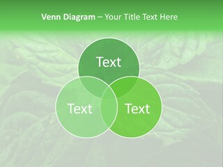 A Close Up Of A Green Leaf Powerpoint Template PowerPoint Template