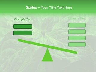 A Close Up Of A Green Leaf Powerpoint Template PowerPoint Template