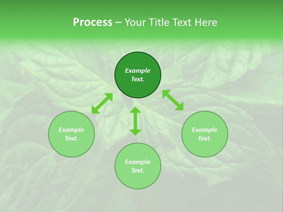 A Close Up Of A Green Leaf Powerpoint Template PowerPoint Template