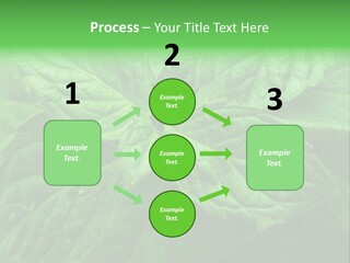 A Close Up Of A Green Leaf Powerpoint Template PowerPoint Template