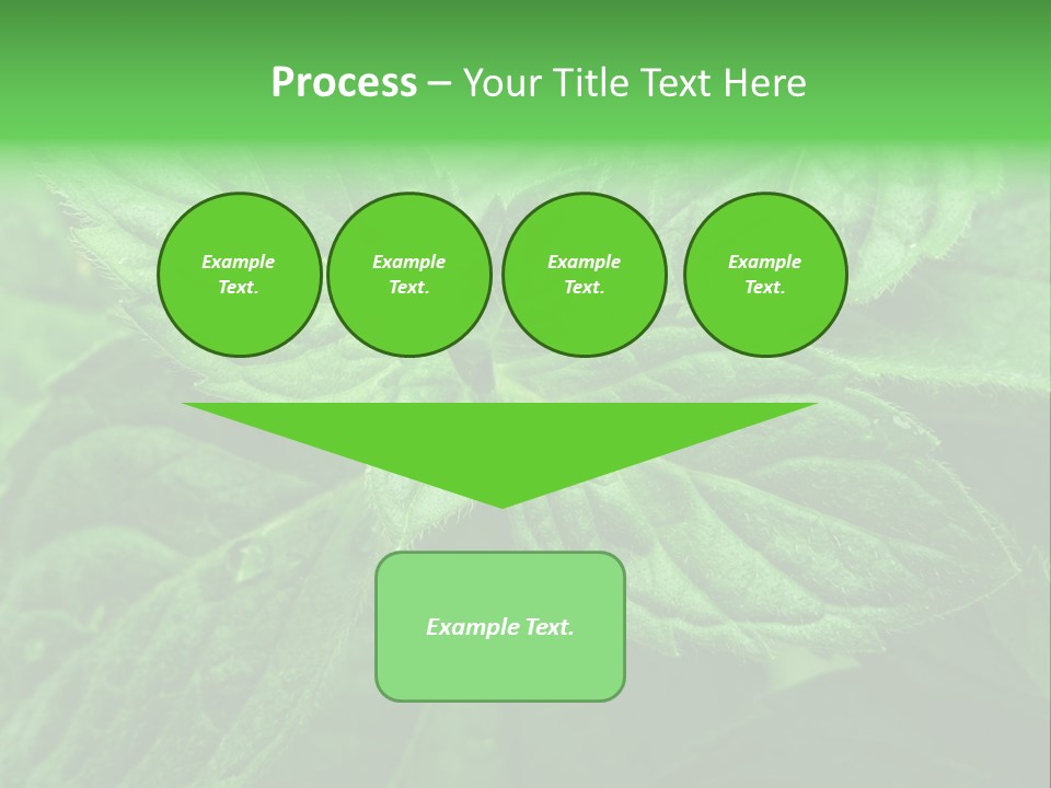 A Close Up Of A Green Leaf Powerpoint Template PowerPoint Template
