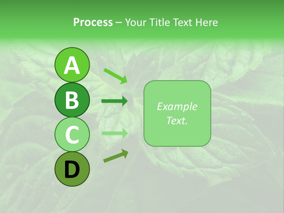 A Close Up Of A Green Leaf Powerpoint Template PowerPoint Template
