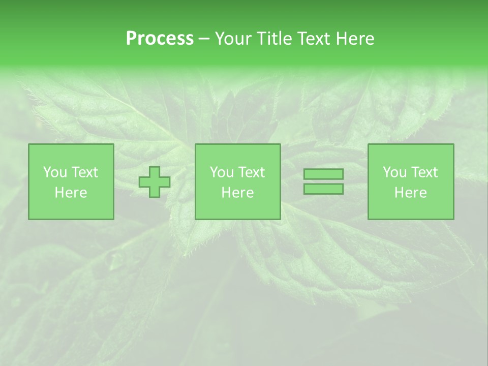 A Close Up Of A Green Leaf Powerpoint Template PowerPoint Template