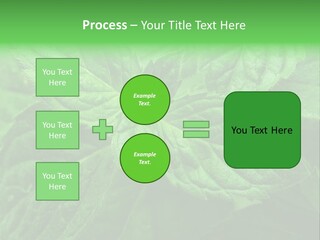 A Close Up Of A Green Leaf Powerpoint Template PowerPoint Template