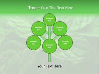 A Close Up Of A Green Leaf Powerpoint Template PowerPoint Template