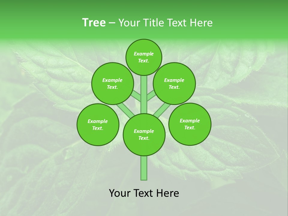 A Close Up Of A Green Leaf Powerpoint Template PowerPoint Template