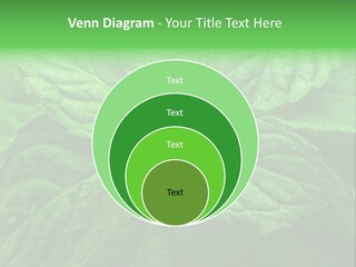 A Close Up Of A Green Leaf Powerpoint Template PowerPoint Template