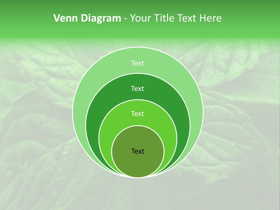 A Close Up Of A Green Leaf Powerpoint Template PowerPoint Template