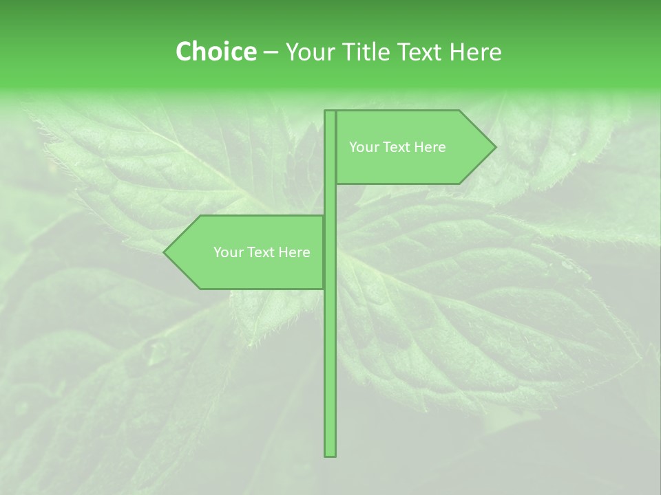 A Close Up Of A Green Leaf Powerpoint Template PowerPoint Template